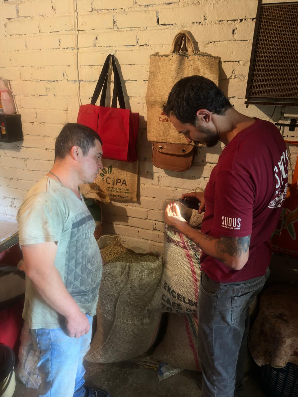 Checking green coffee quality with the producer