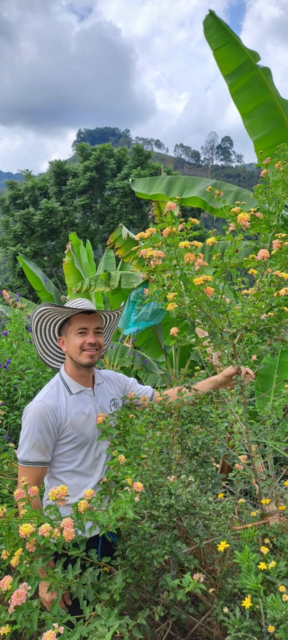 Producer among flowering plants next to coffee