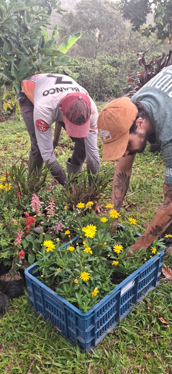 Planting flowers for the corridor